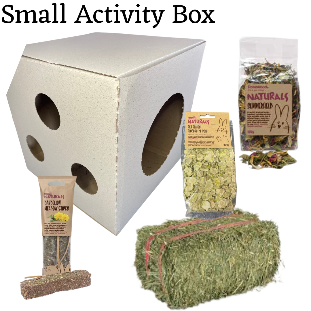 Activity Box