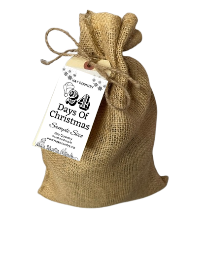 12 days of Christmas 2025