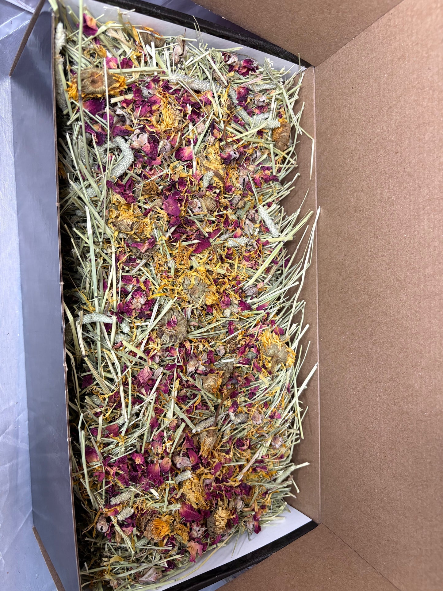 Christmas Critter Crate