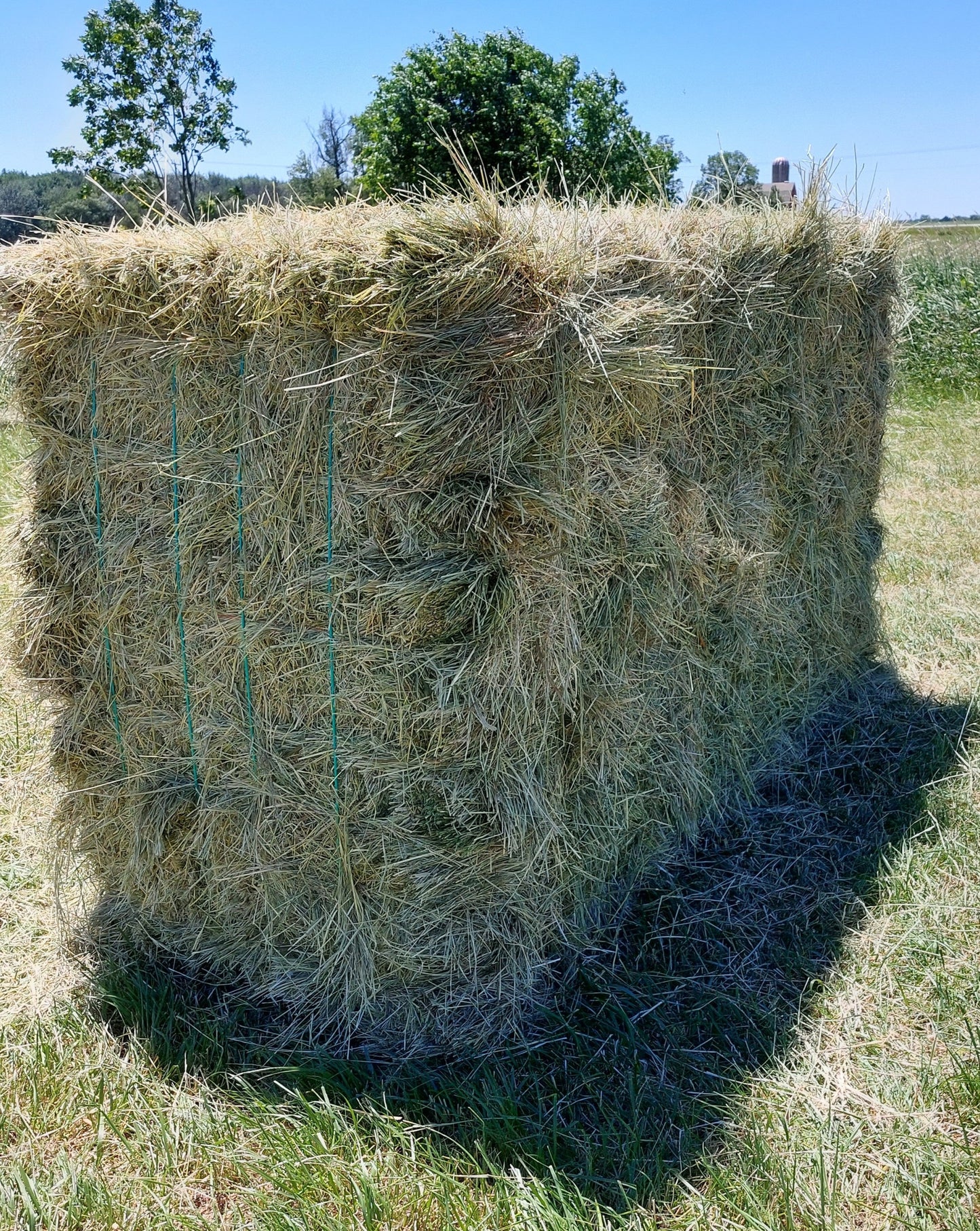 1st Cut Farmers Secret Blend Hay- 2022 ON SALE