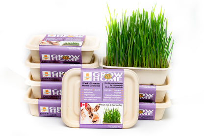 Home Grass Grow Kit
