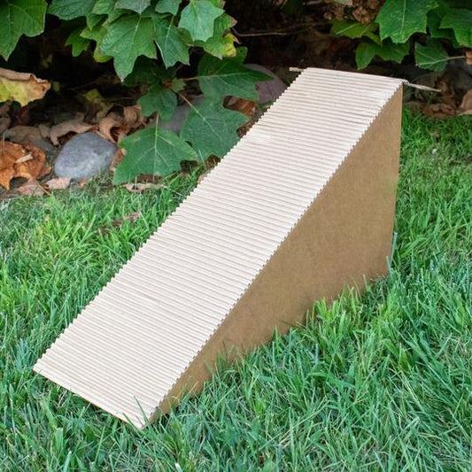 Cottontail Cottage Ramp by Binky Bunny