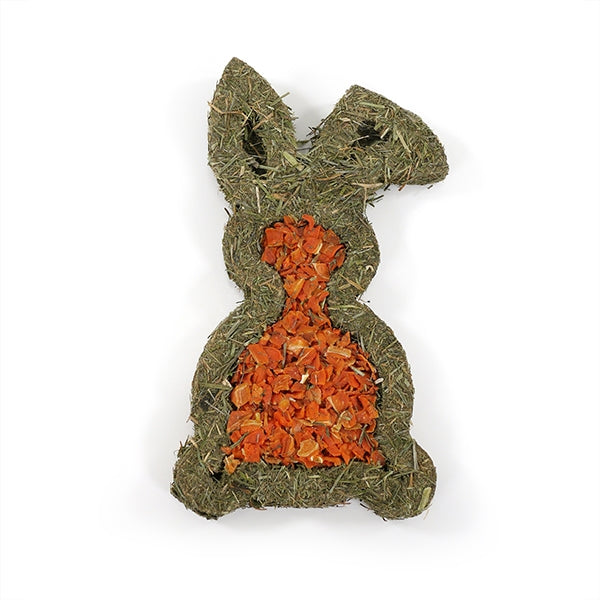 Carrot Forage Bunny