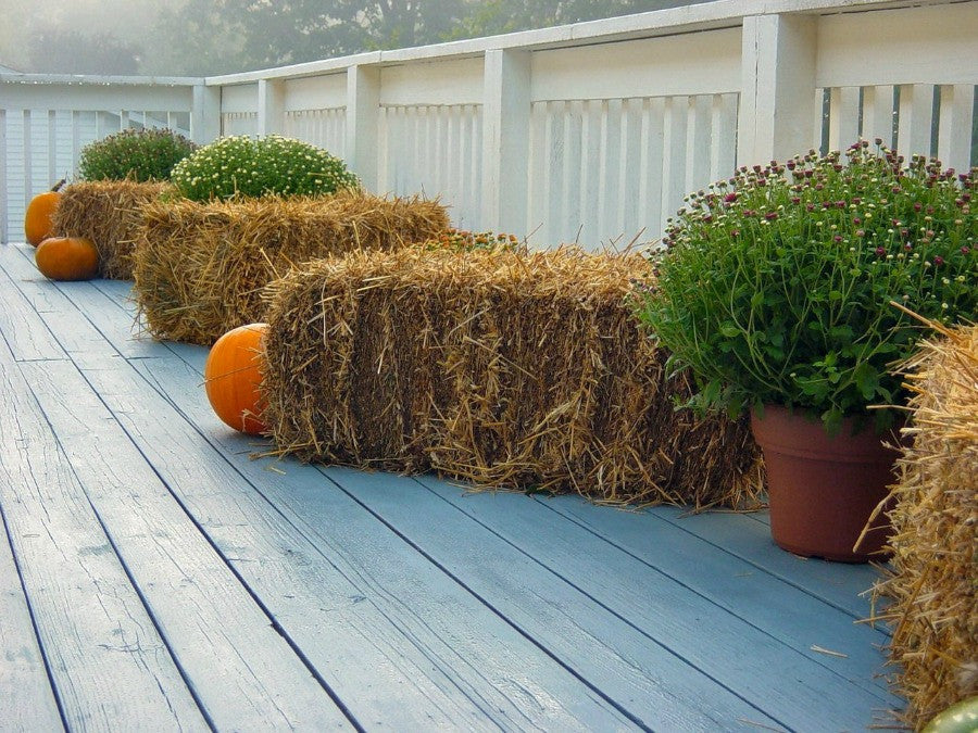 Wheat straw