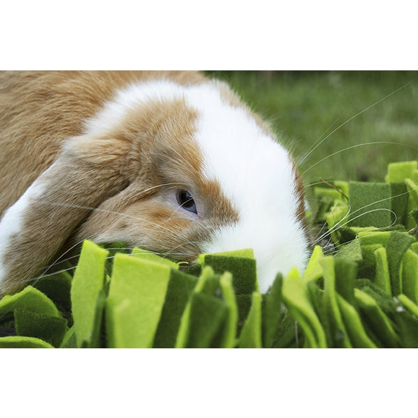 Snuffle Forage Mat